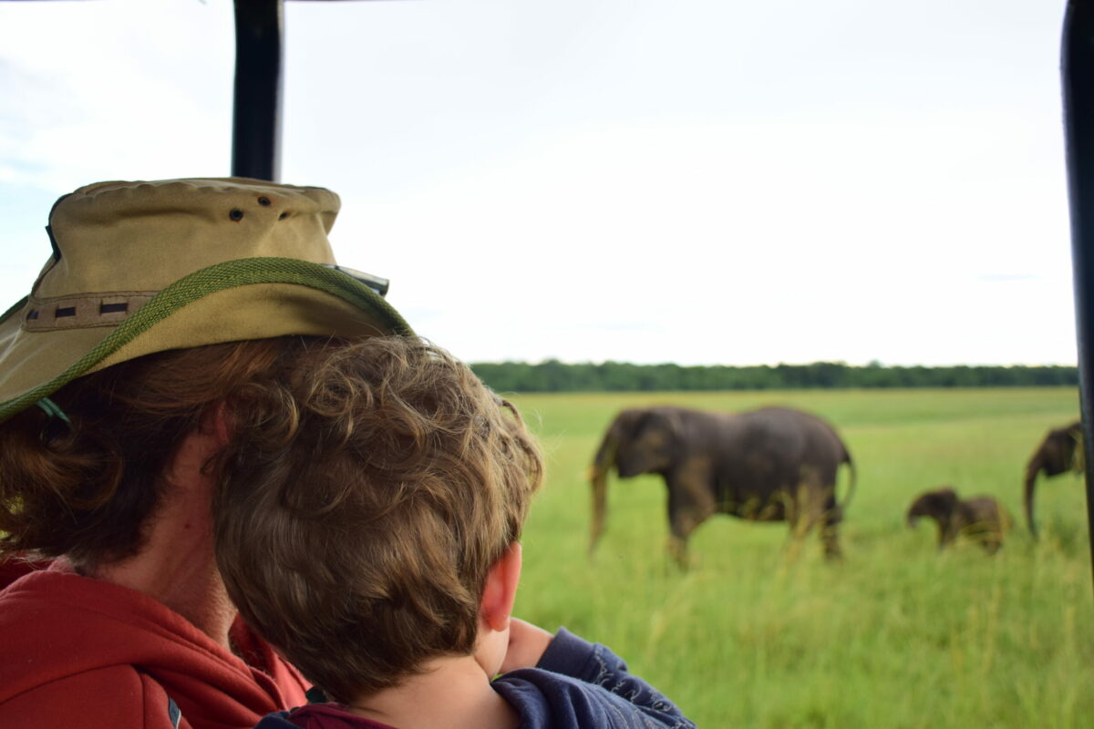 SAFARI EN FAMILLE ZIMBABWE